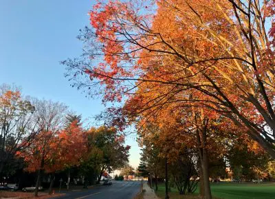 Screen-Shot-2020-10-27-at-9.53.56-AM-e1603806921625